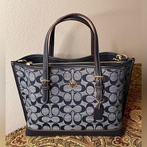 Coach Mini Purse Crossbody